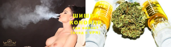крисы Горно-Алтайск