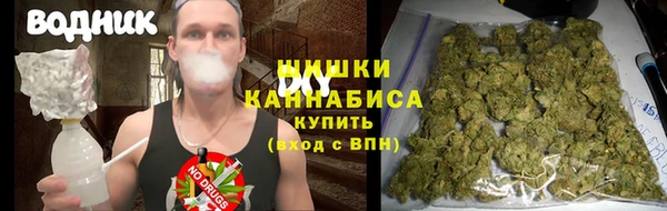 крисы Горно-Алтайск