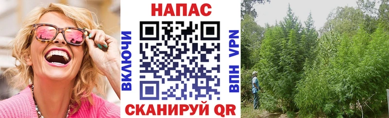 Шишки марихуана конопля  darknet телеграм  OMG вход  Приволжск  даркнет сайт 